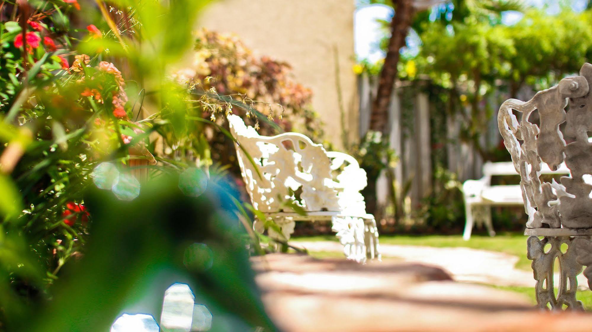 Cattleya Luxury Suites Kingston Exteriér fotografie