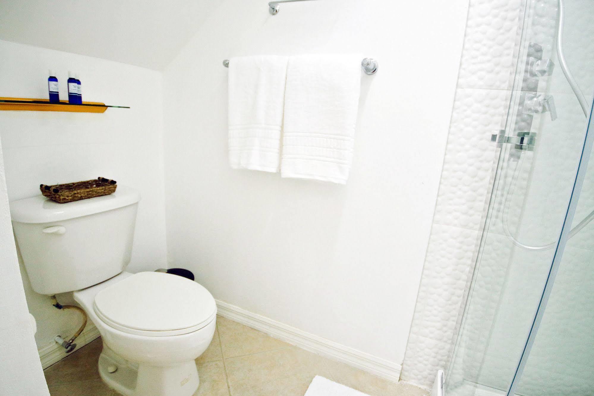 Cattleya Luxury Suites Kingston Exteriér fotografie