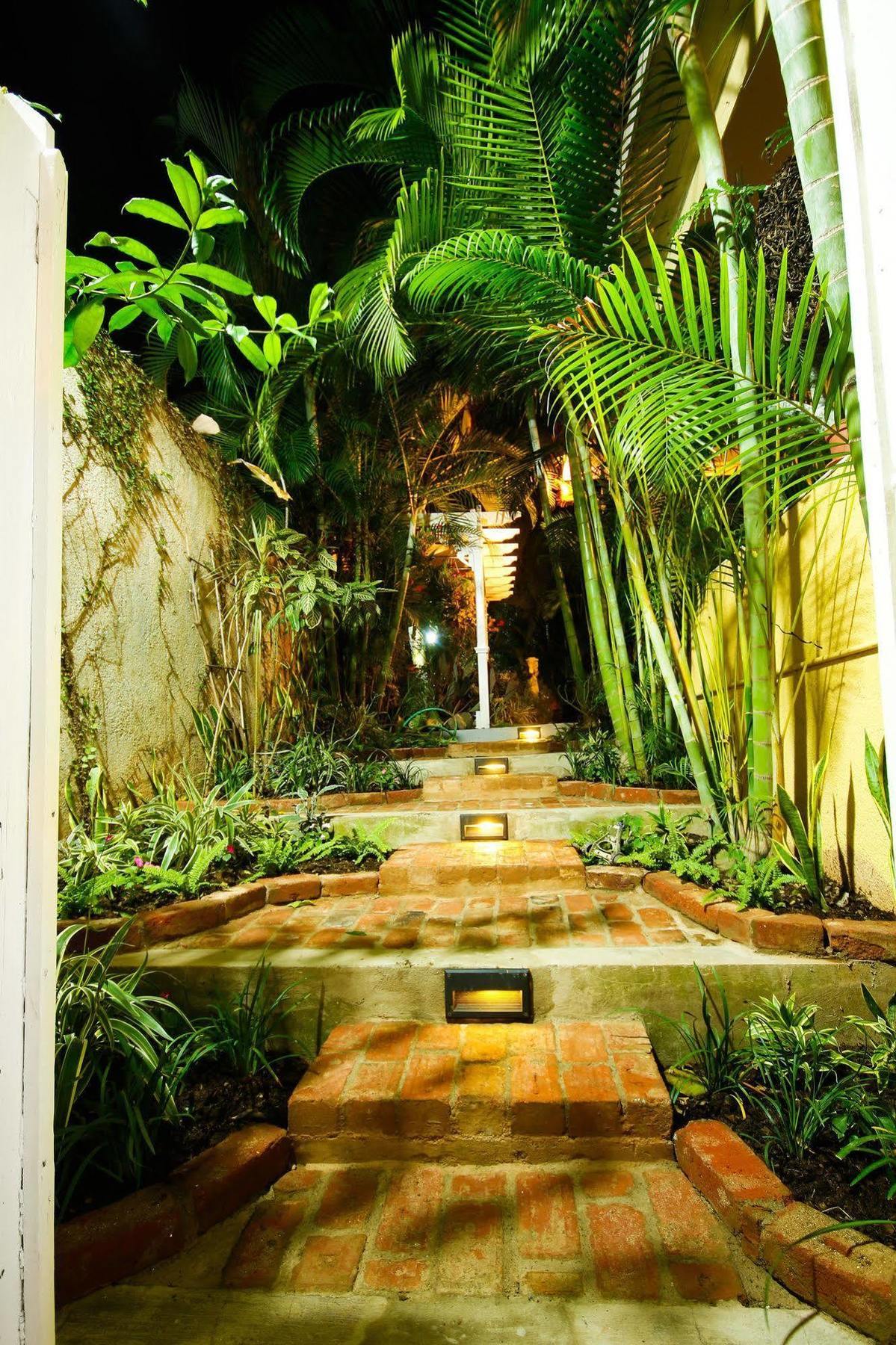 Cattleya Luxury Suites Kingston Exteriér fotografie