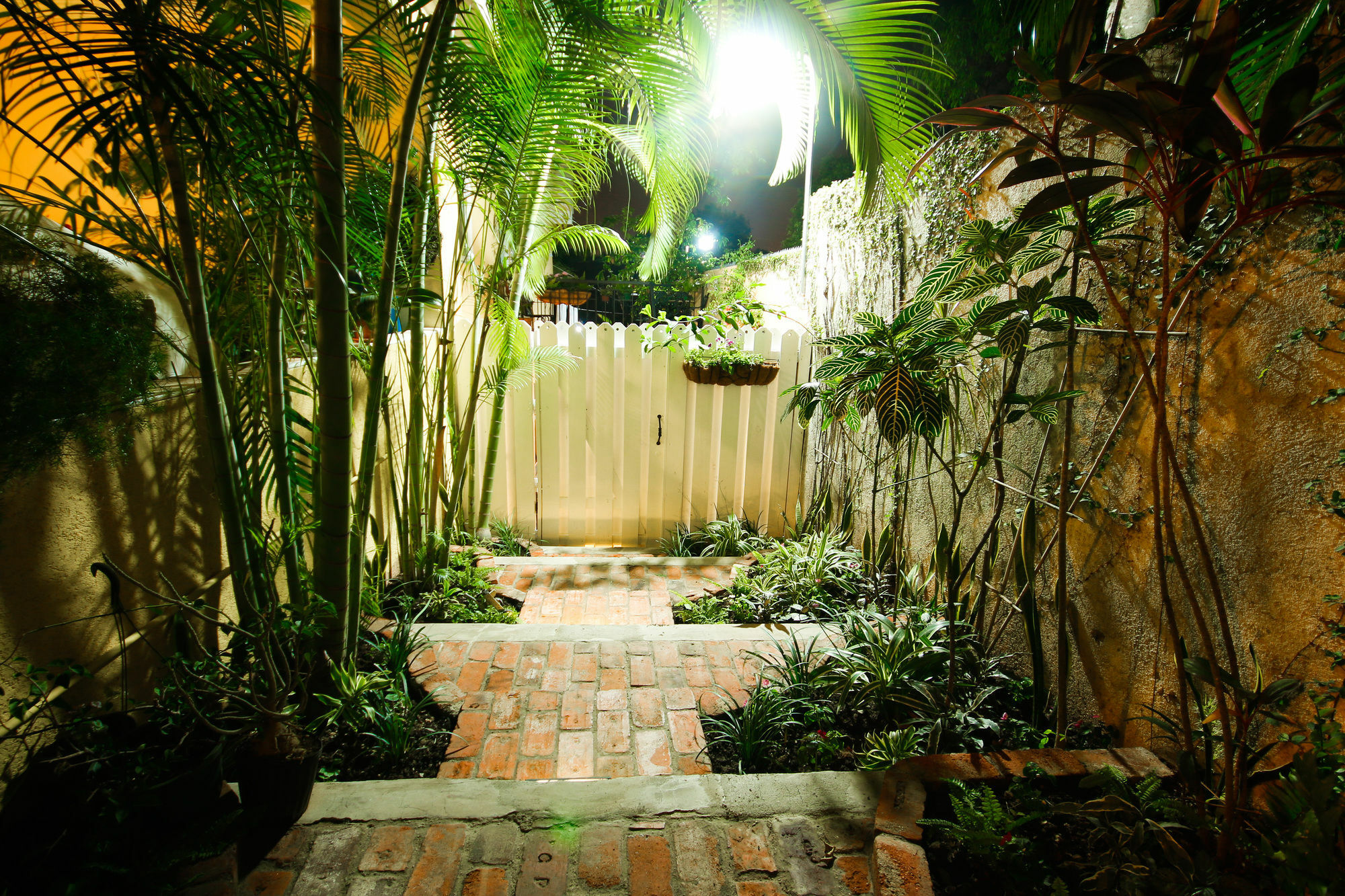 Cattleya Luxury Suites Kingston Exteriér fotografie