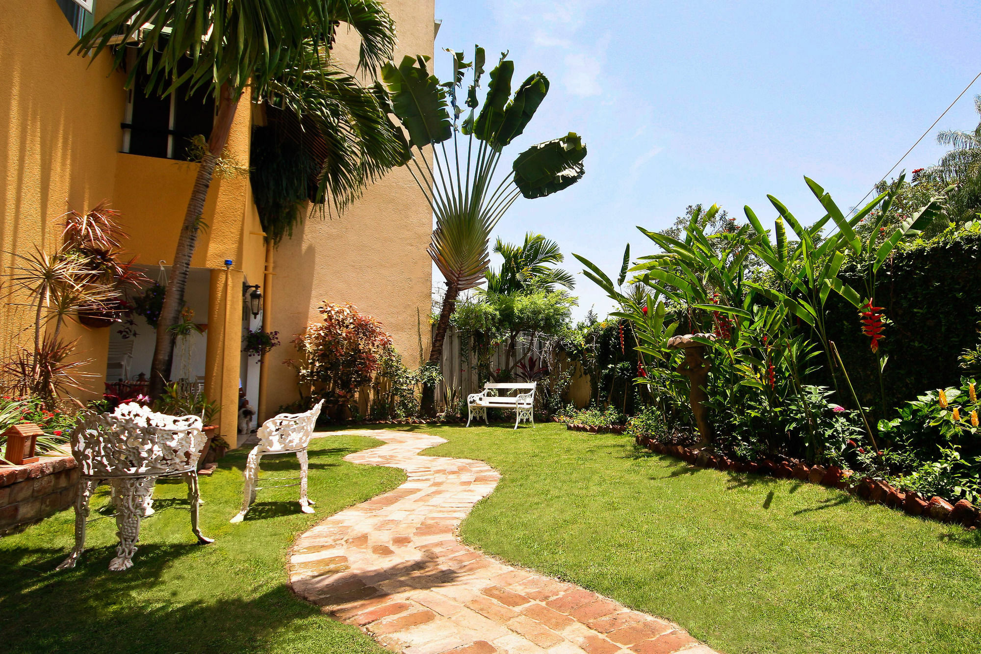 Cattleya Luxury Suites Kingston Exteriér fotografie