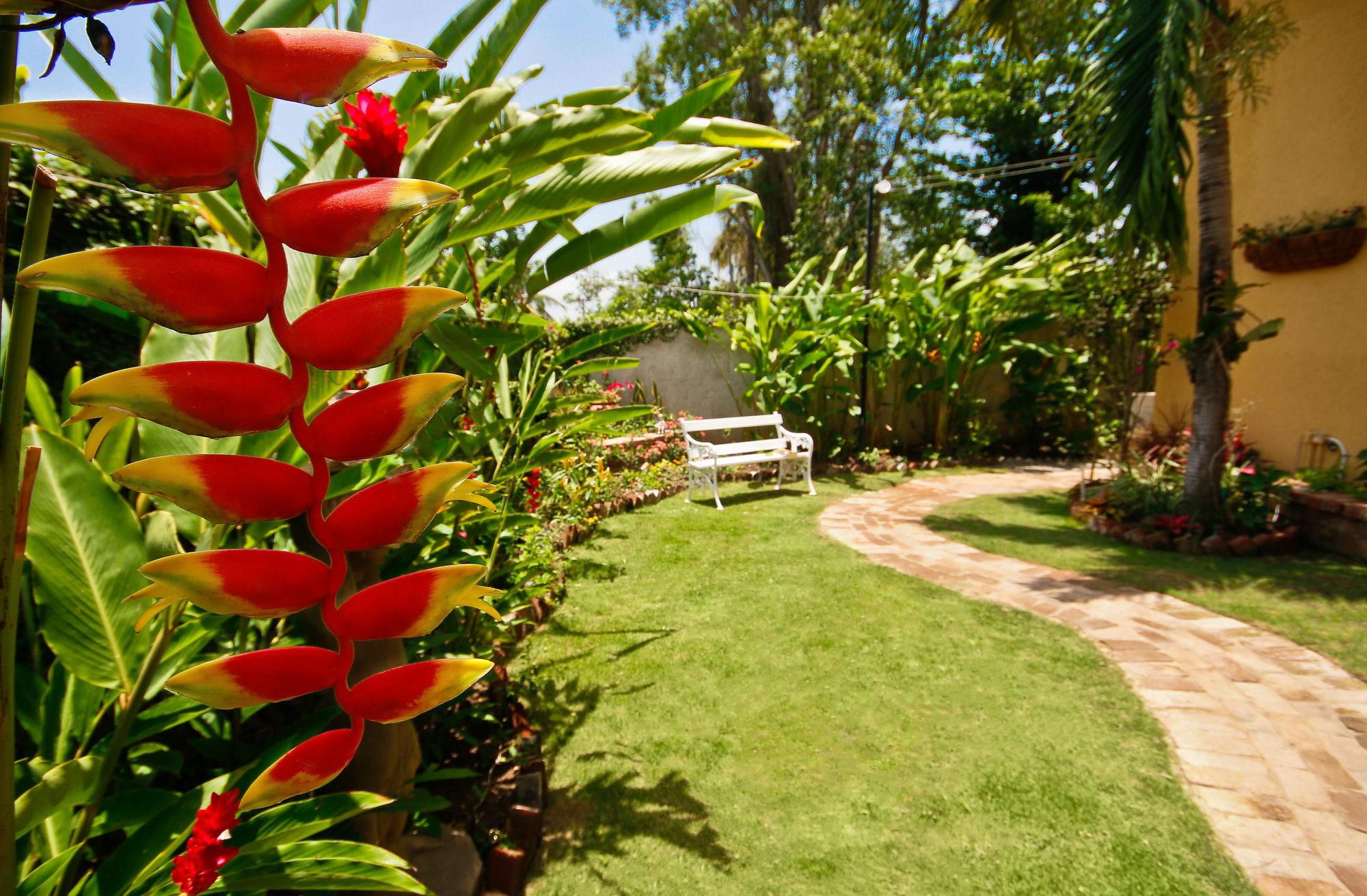 Cattleya Luxury Suites Kingston Exteriér fotografie